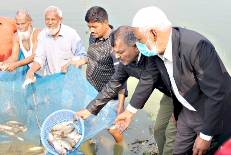 দিনাজপুরের ঐতিহ্যবাহী দেওয়ানজিদীঘিতে মাছের পোনা অবমুক্তকরণ