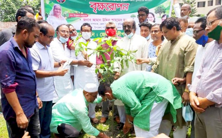কুড়িগ্রাম জেলা যুবলীগের গাছের চারা রোপন